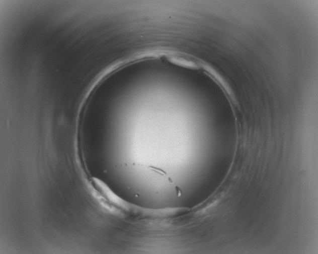 X0000082930861200702081539