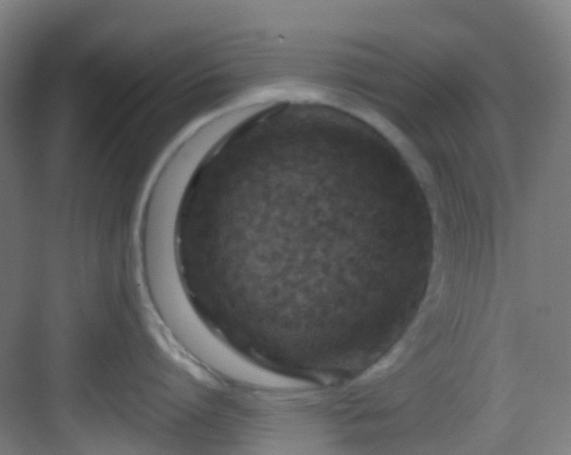 X0000082930864200702081539