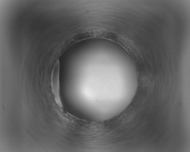 X0000082930865200702081538