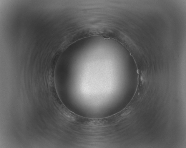 X0000082930867200702081538