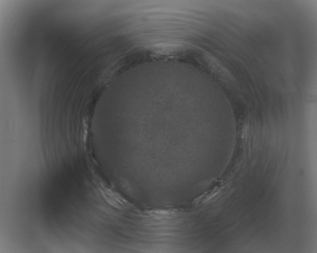 X0000082930868200702081538