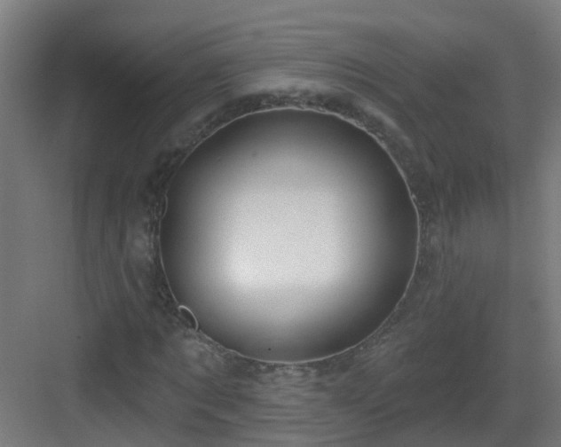 X0000082930869200702081538