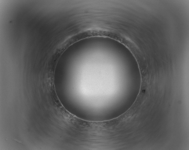 X0000082930870200702081538