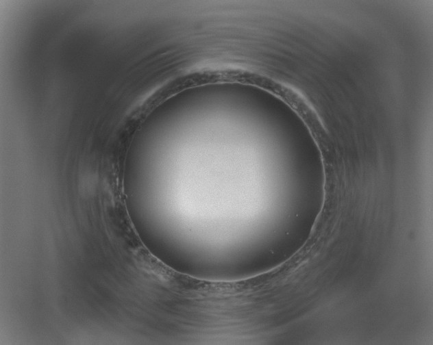 X0000082930871200702081538