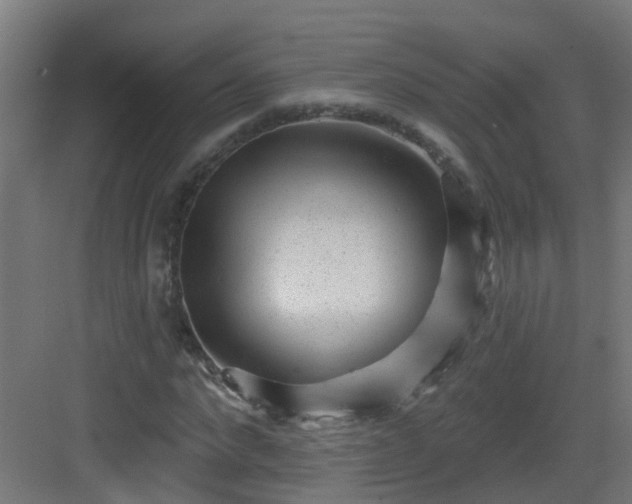 X0000082930872200702081538