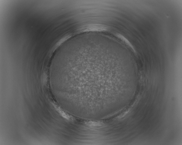 X0000082930874200702081538