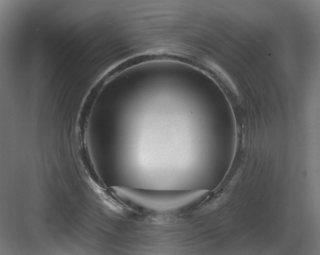 X0000082930876200702081538