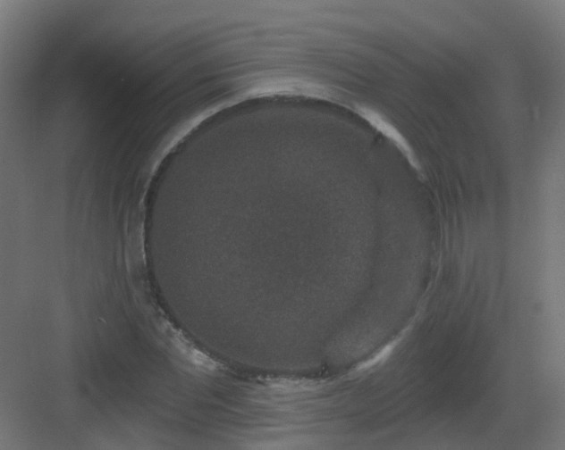 X0000082930877200702081538