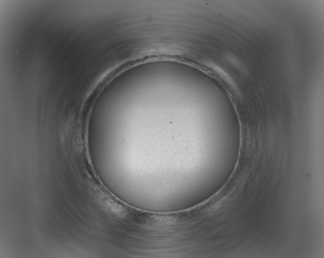 X0000082930878200702081538