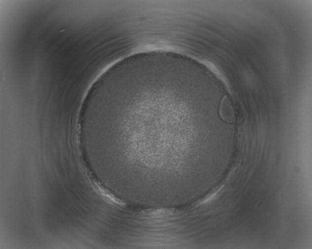 X0000082930879200702081538