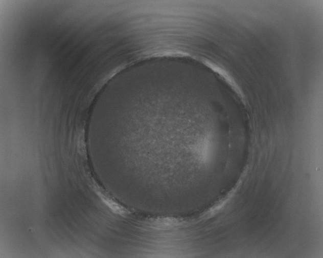 X0000082930881200702081538