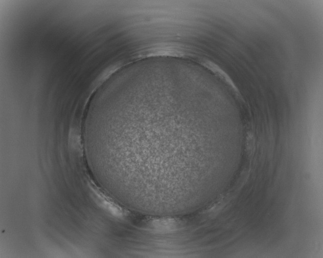 X0000082930882200702081538