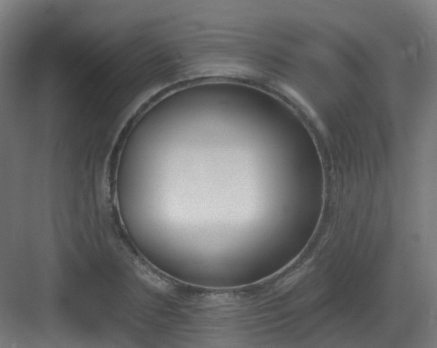 X0000082930883200702081538