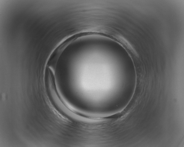 X0000082930884200702081538