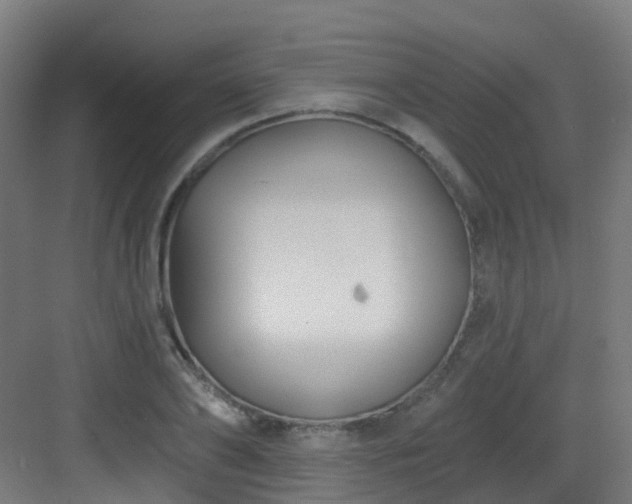 X0000082930886200702081538