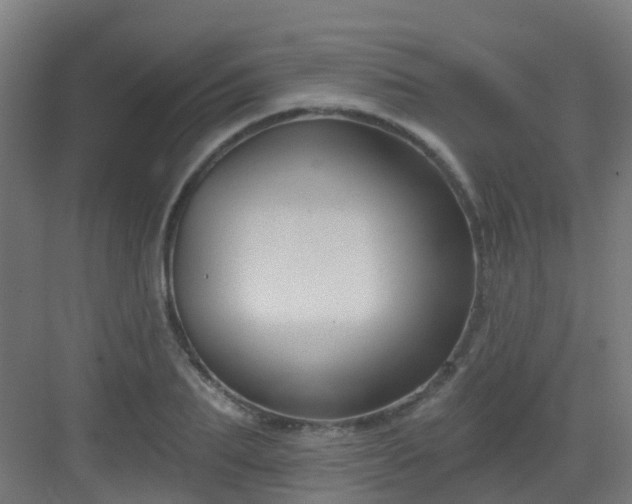 X0000082930887200702081538