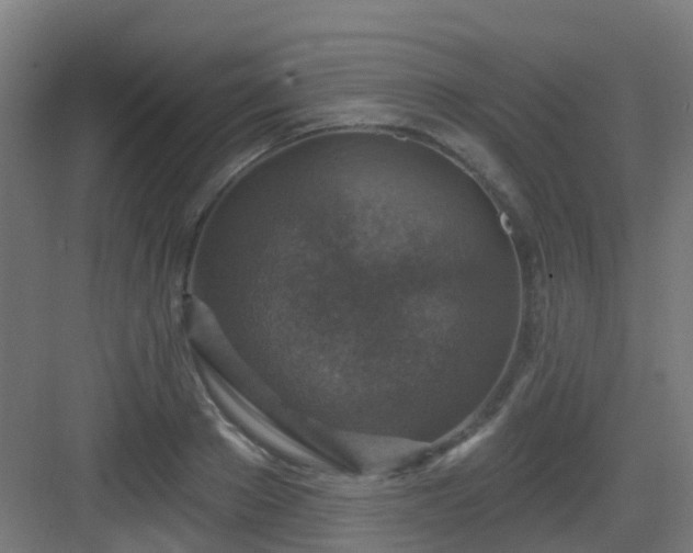 X0000082930889200702081538