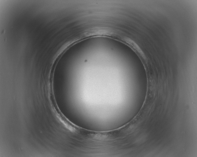 X0000082930890200702081538