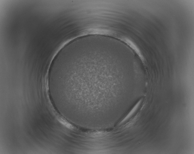 X0000082930891200702081538