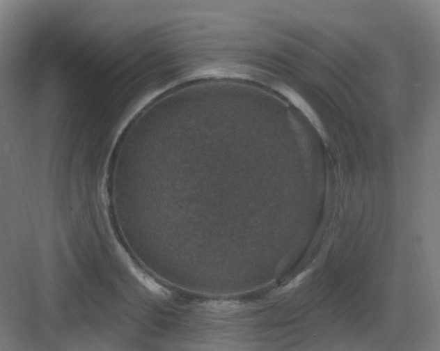 X0000082930893200702081538