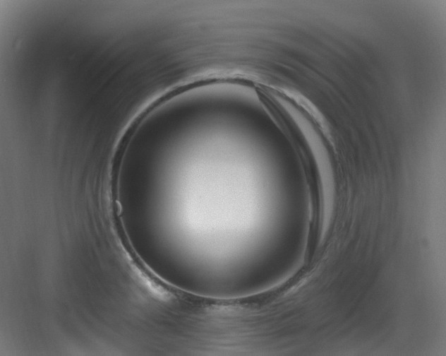 X0000082930894200702081538