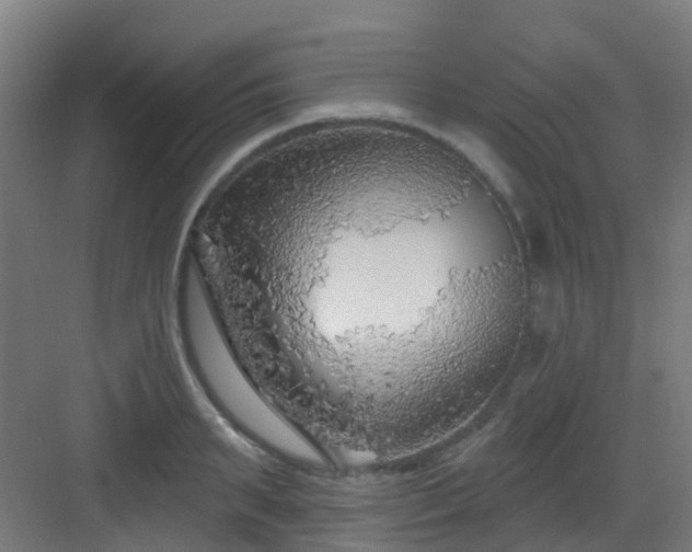 X0000082930895200702081538