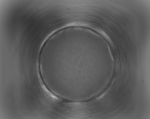 X0000082930896200702081538