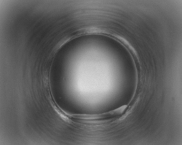 X0000082930897200702081538