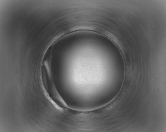 X0000082930898200702081538