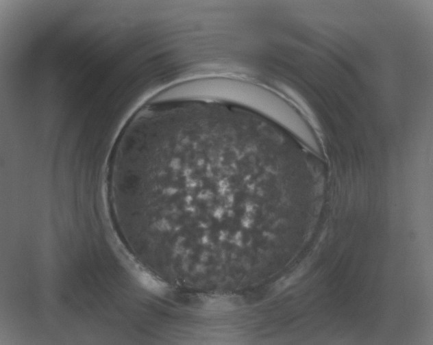 X0000082930899200702081538