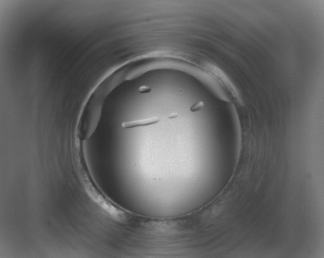 X0000082930900200702081537