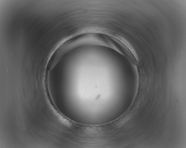 X0000082930901200702081537