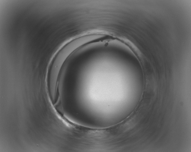 X0000082930902200702081537