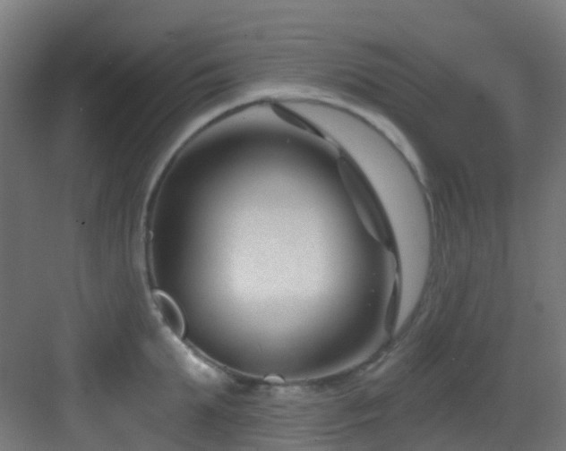 X0000082930903200702081537