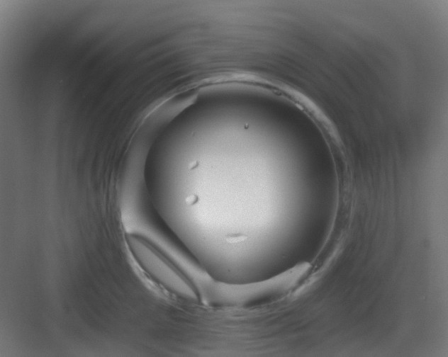 X0000082930905200702081537