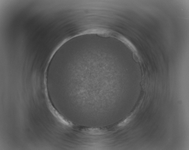 X0000082930907200702081537