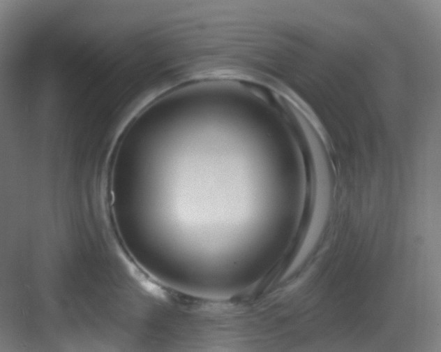 X0000082930909200702081537