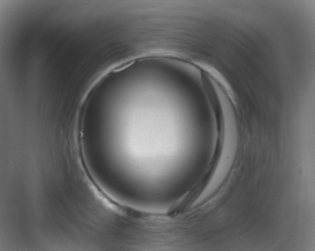 X0000082930910200702081537