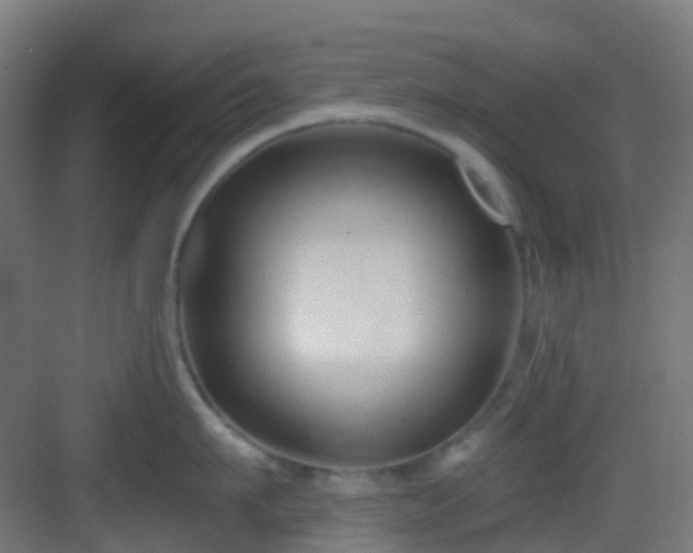 X0000082930911200702081537