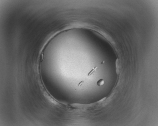 X0000082930912200702081537