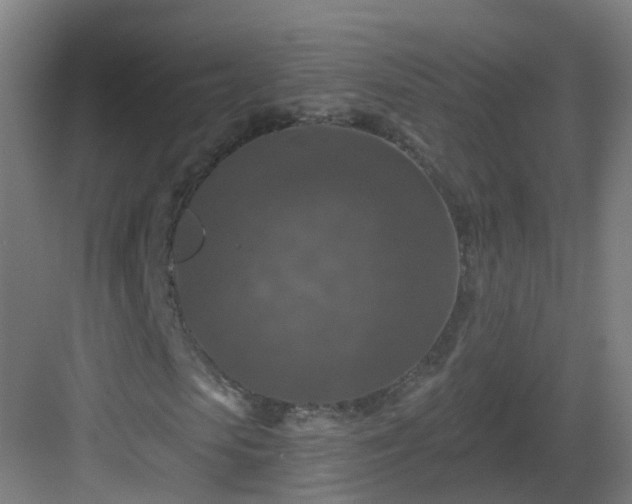 X0000082930913200702081536