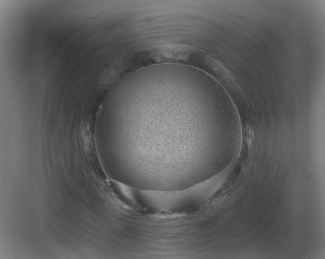 X0000082930915200702081537