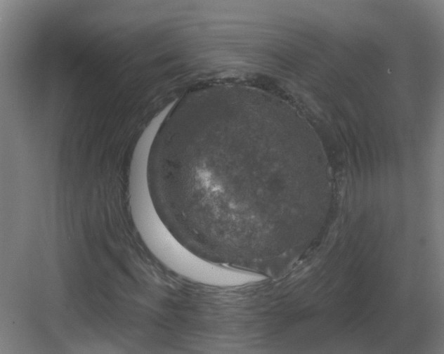 X0000082930916200702081537