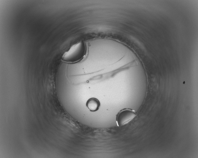 X0000082930918200702081537