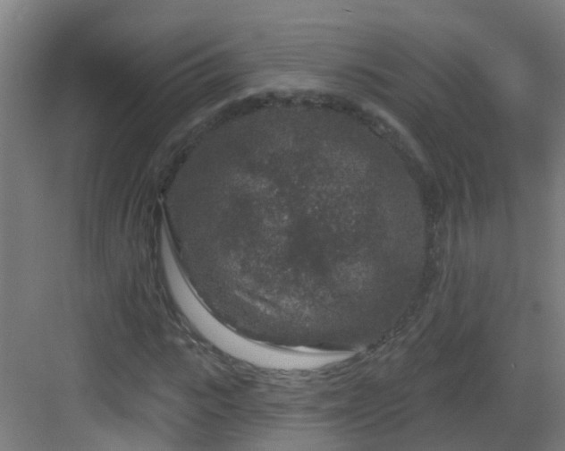 X0000082930919200702081537