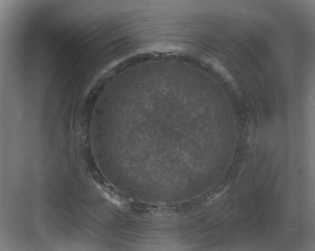 X0000082930920200702081537