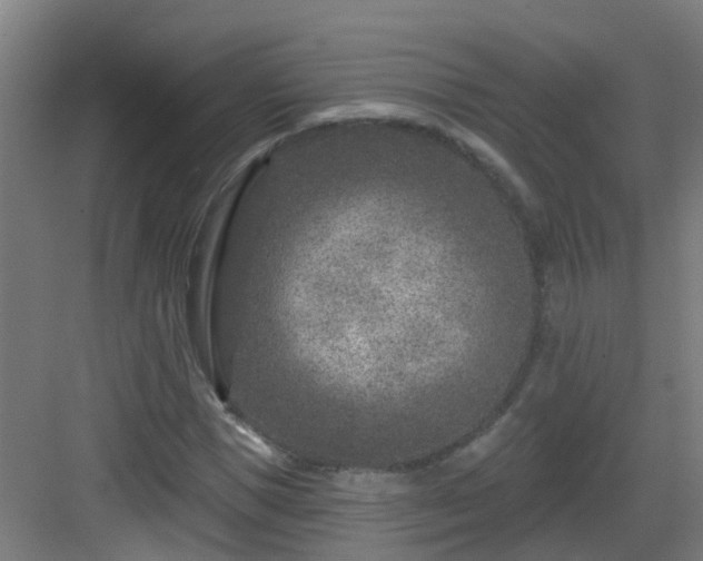 X0000082930921200702081537