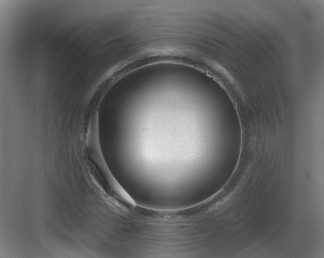 X0000082930922200702081537