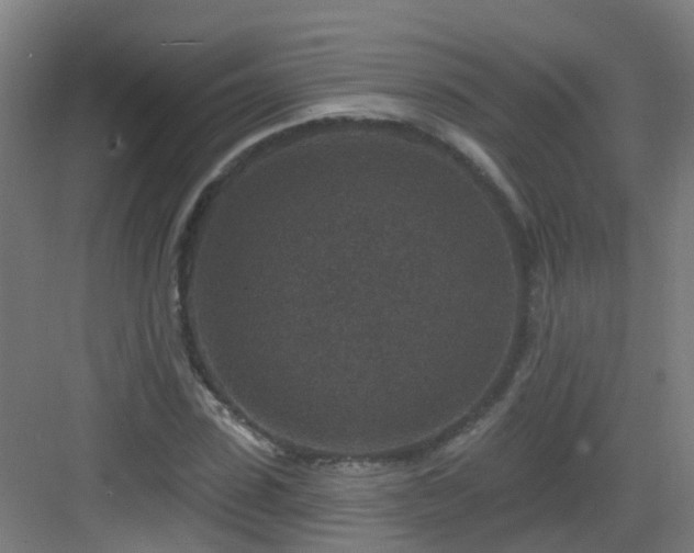 X0000082930923200702081537