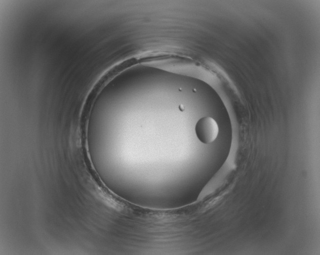 X0000082930924200702081537